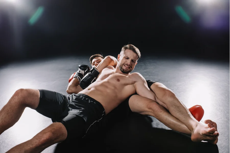 Artes marciales mixtas 